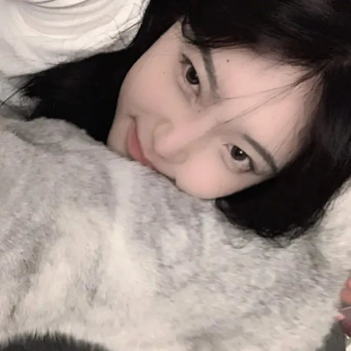 我的老婆是只猫